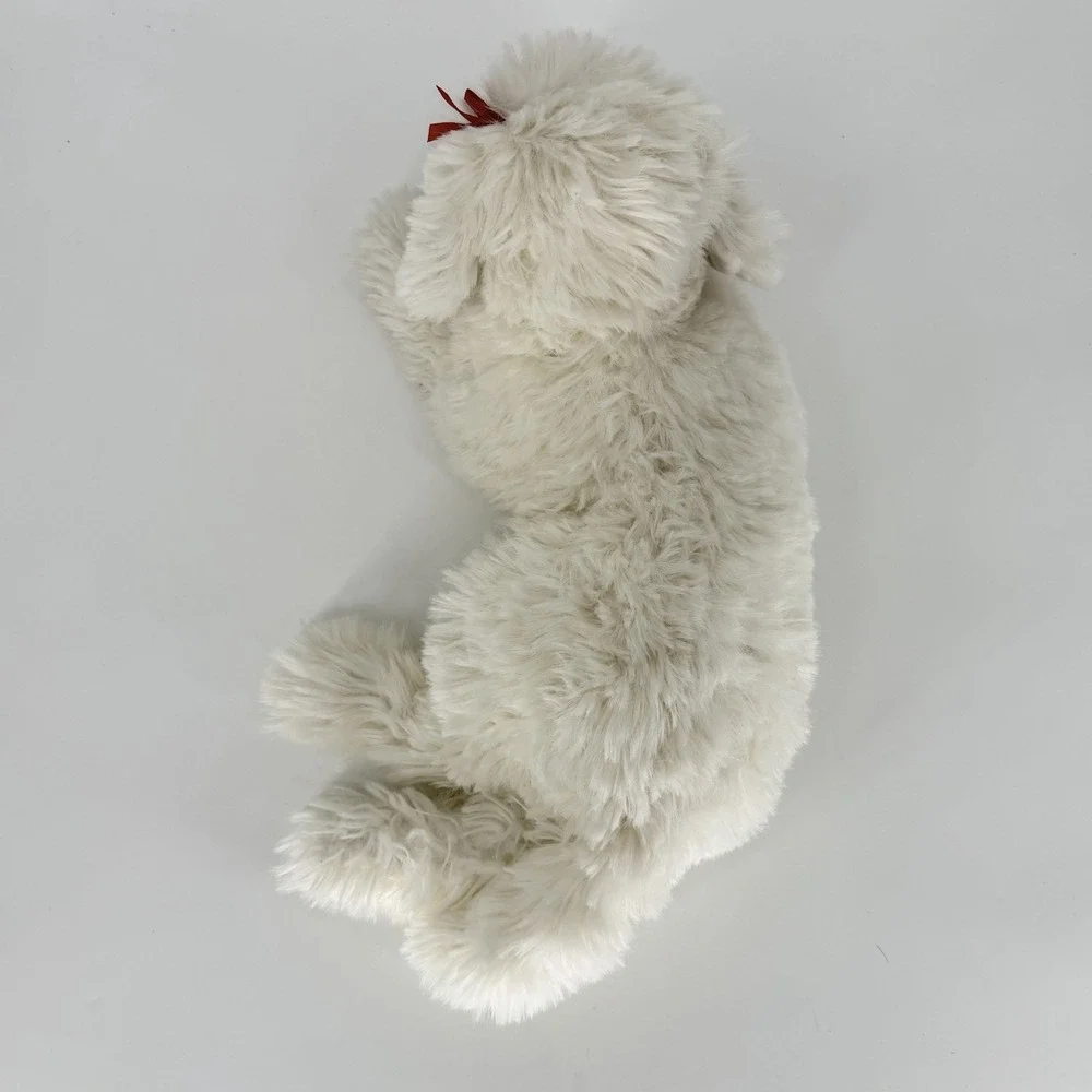 Douglas Marcelle Bichon Frise 22
